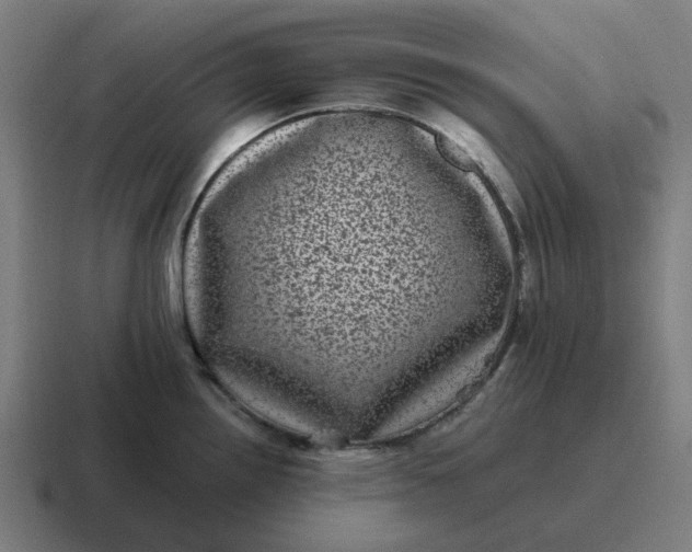 X0000116761242200912311812
