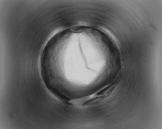 X0000116761243200912311812