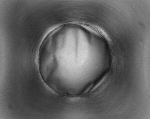 X0000116761247200912311812