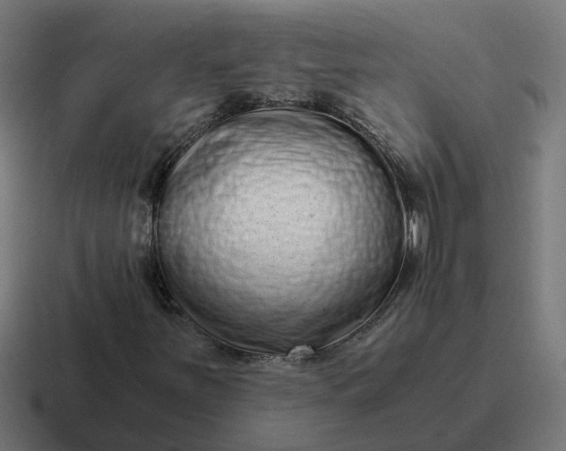 X0000116761251200912311812