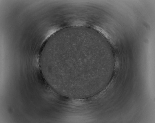 X0000116761258200912311812