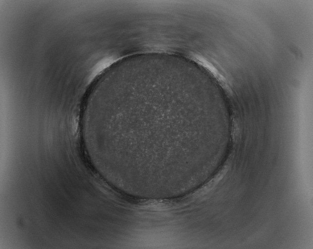 X0000116761259200912311812
