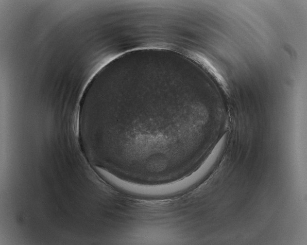 X0000116761276200912311811