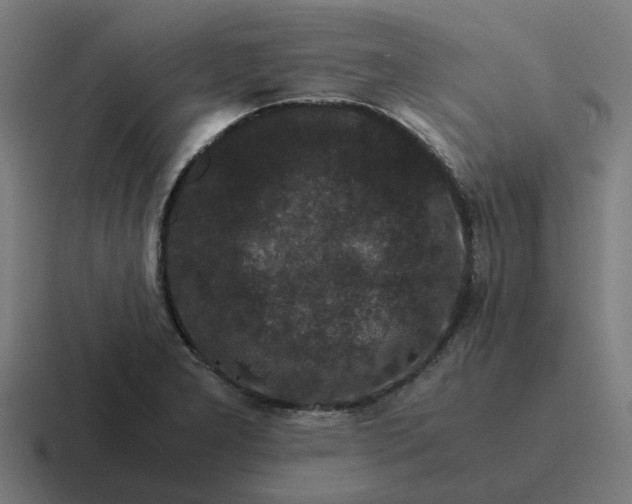 X0000116761277200912311811