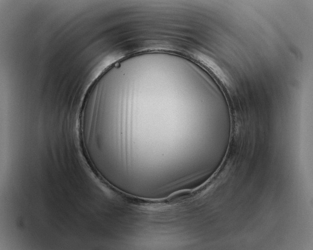 X0000116761282200912311811