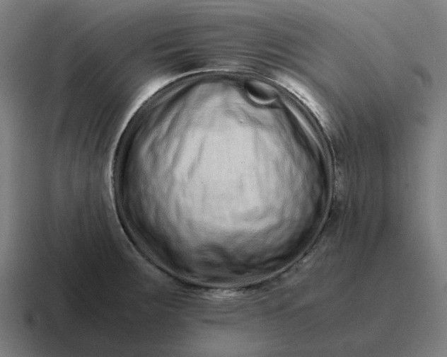 X0000116761283200912311811