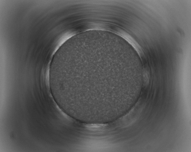 X0000116761290200912311811