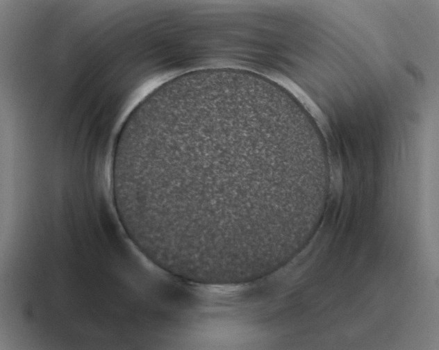 X0000116761294200912311811