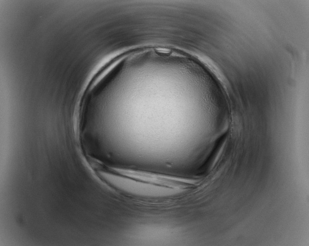 X0000116761295200912311811