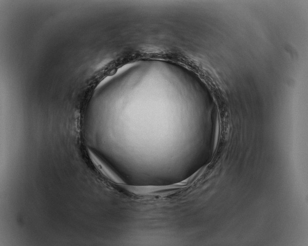 X0000116761301200912311811