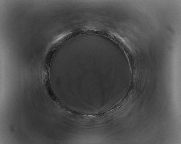 X0000116761303200912311811