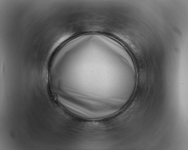 X0000116761317200912311811