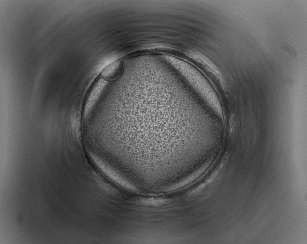 X0000116761321200912311811