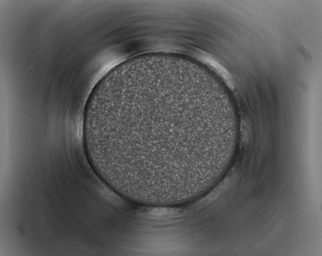 X0000116761322200912311811