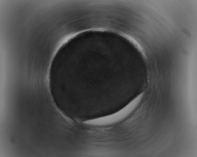 X0000116761327200912311811