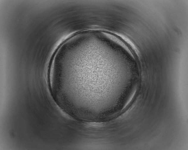 X0000116761333200912311811