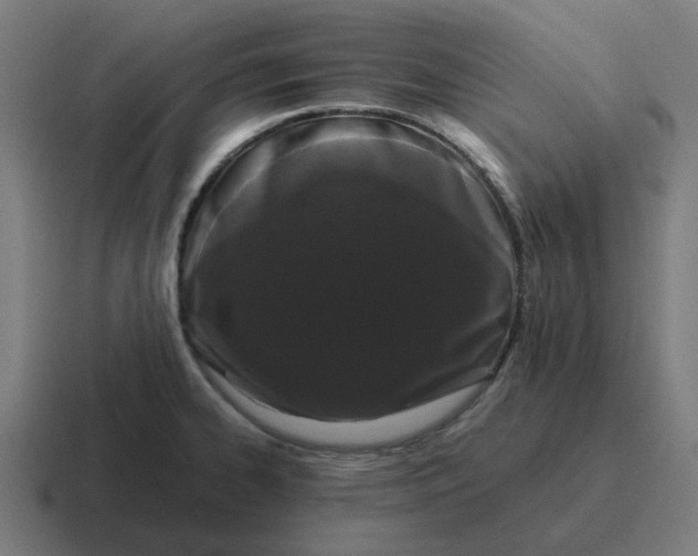 X0000116761334200912311811