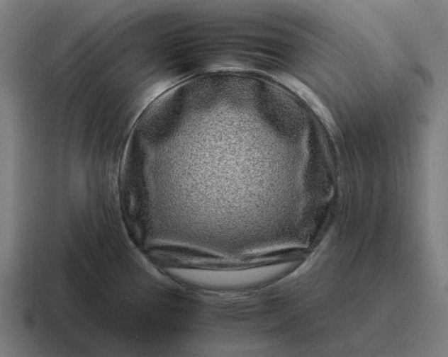 X0000116761337200912311811