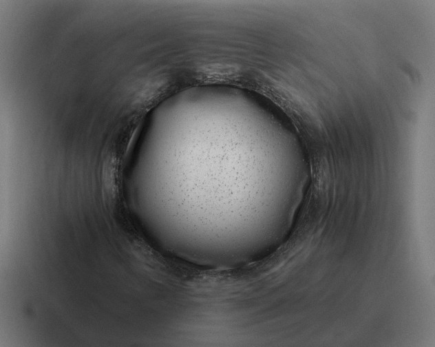 X0000116761346200912311811