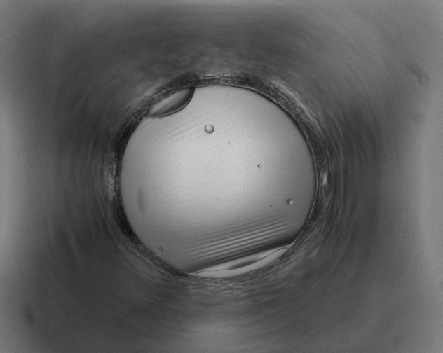 X0000116761348200912311811