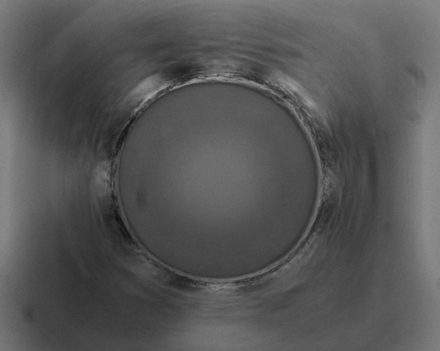 X0000116761353200912311810