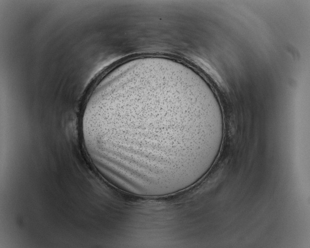 X0000116761356200912311810