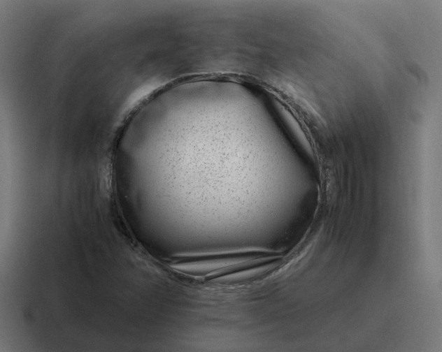 X0000116761358200912311810