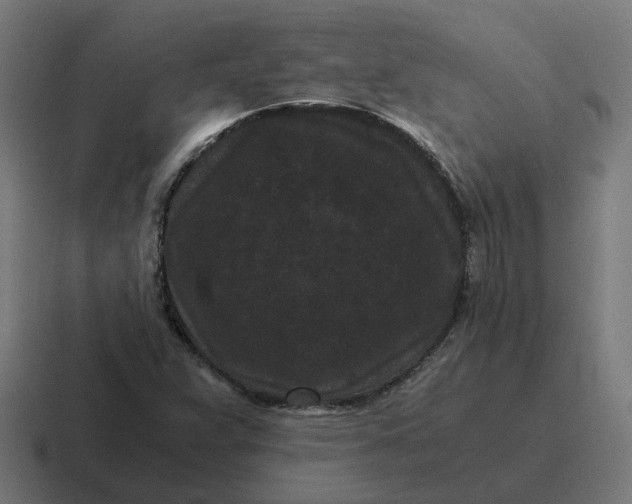 X0000116761359200912311810