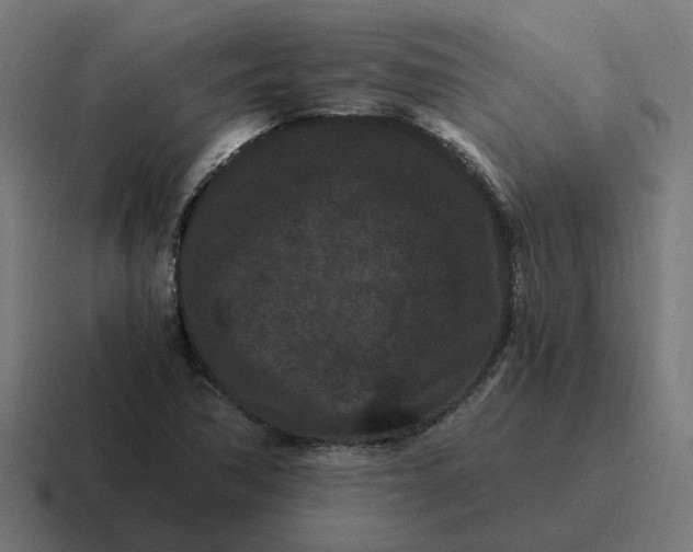 X0000116761362200912311810