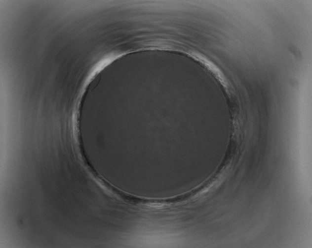 X0000116761373200912311810