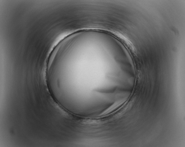 X0000116761374200912311810