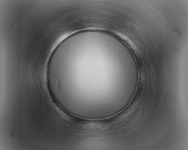 X0000116761375200912311810