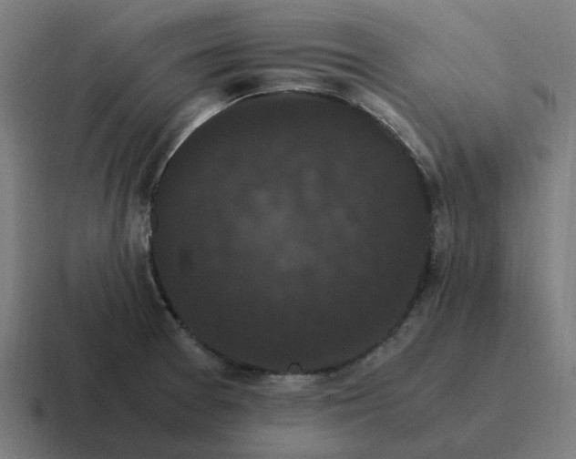 X0000116761377200912311810