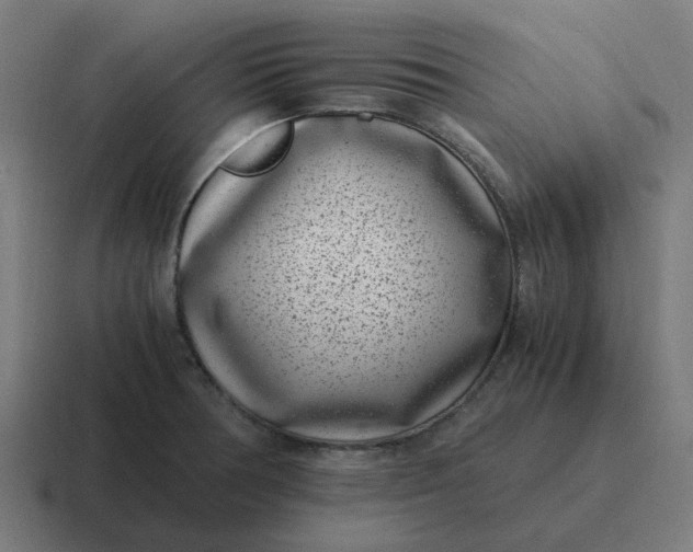 X0000116761378200912311810