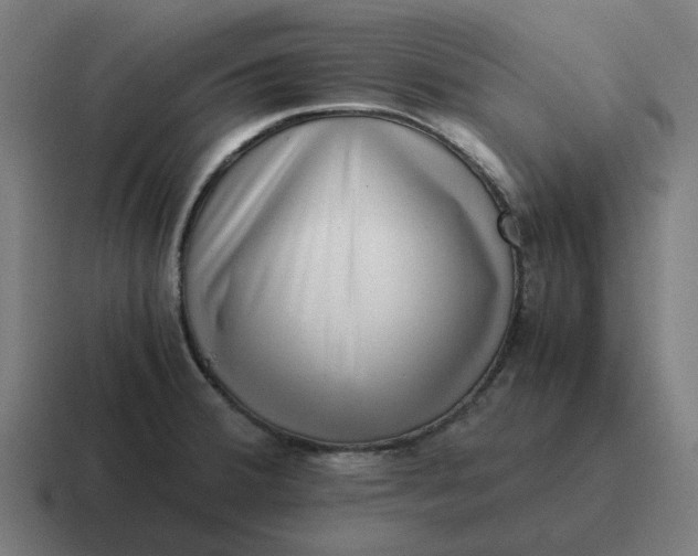 X0000116761380200912311810