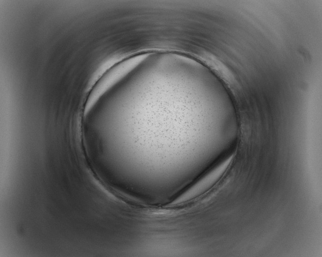 X0000116761382200912311810