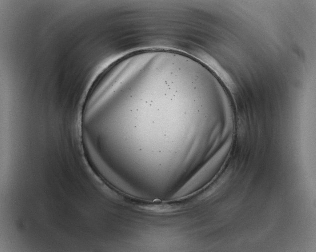 X0000116761388200912311810
