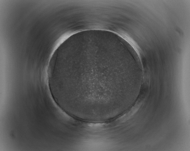 X0000116761389200912311810