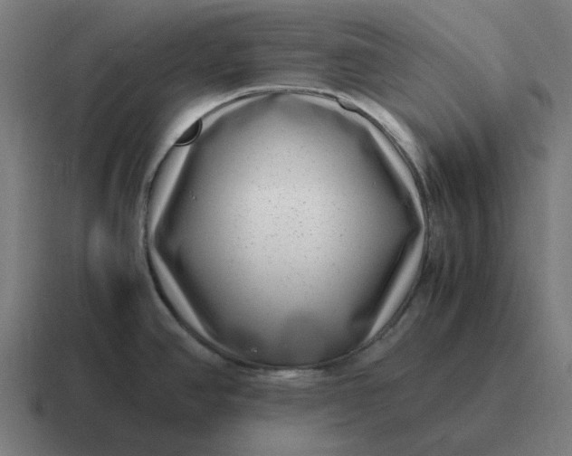 X0000116761390200912311810