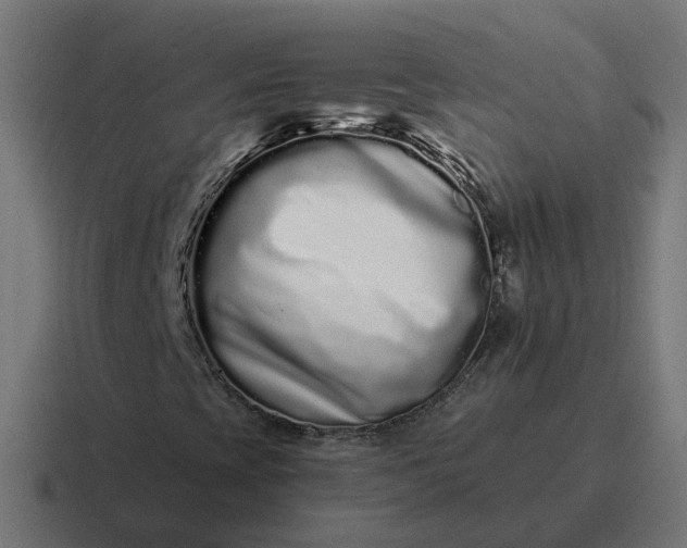 X0000116761393200912311809