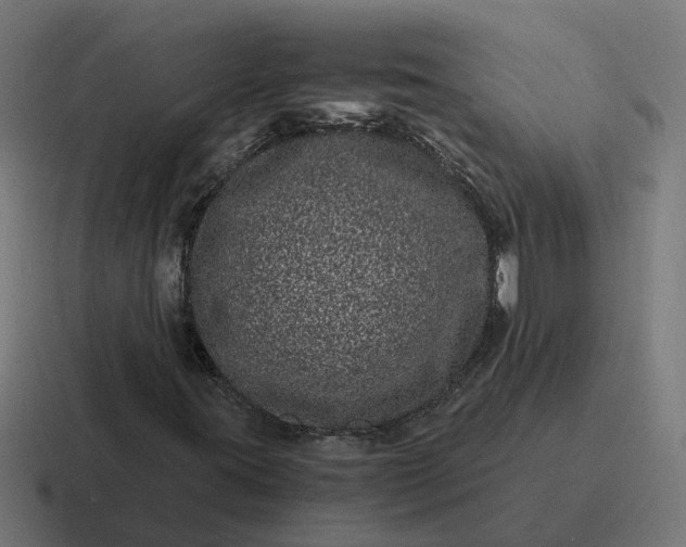 X0000116761395200912311809