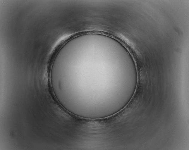 X0000116761408200912311810