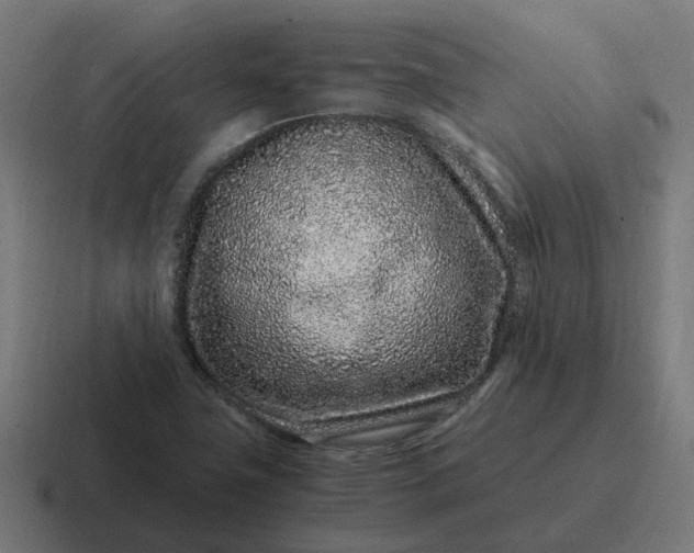 X0000116761411200912311810