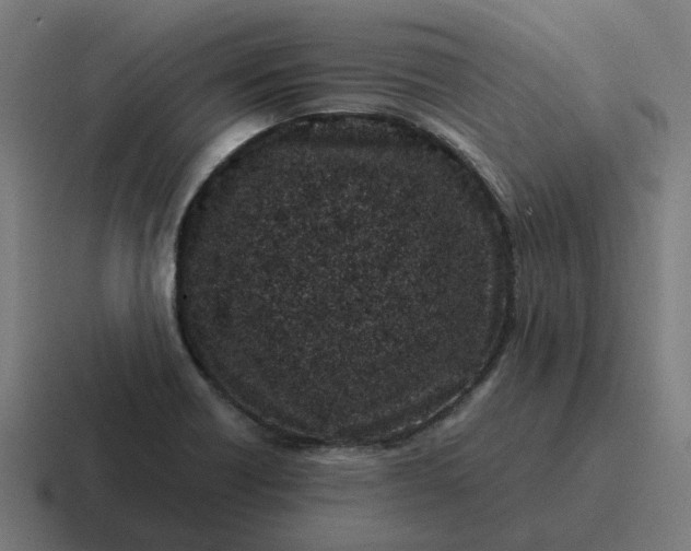 X0000116761418200912311810