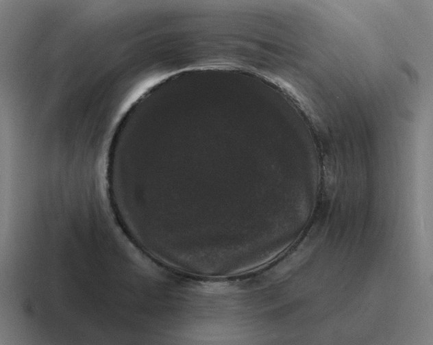 X0000116761422200912311810