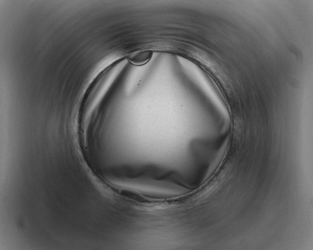 X0000116761426200912311810