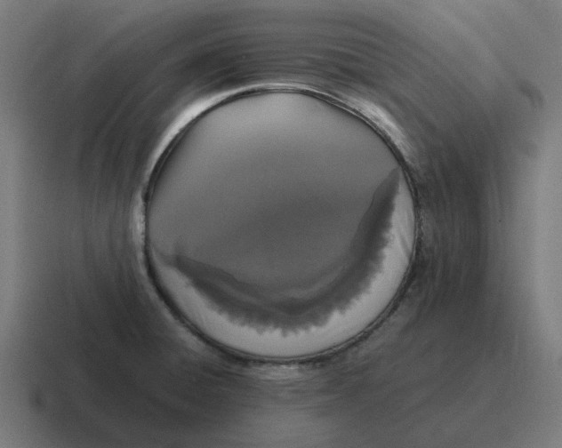 X0000116761428200912311810