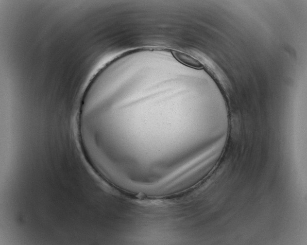 X0000116761432200912311810