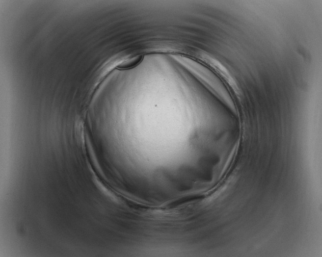 X0000116761433200912311810