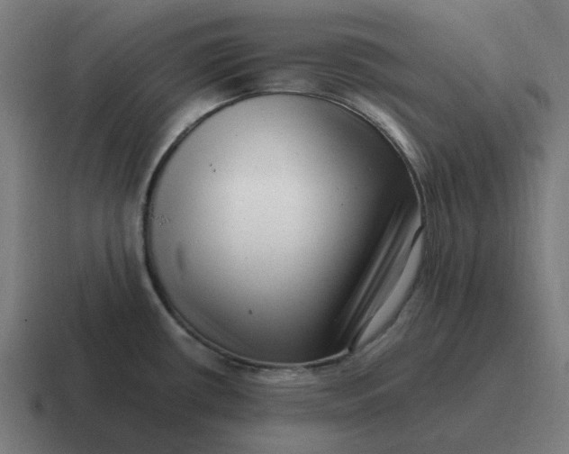 X0000116761434200912311810